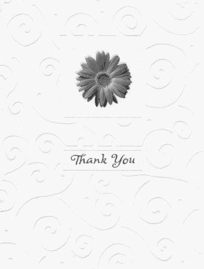 Letter from Jill Weissenberger